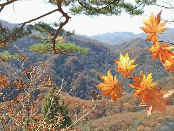 打胎药价格打胎药和人流哪个危害(打胎药和人流哪个危害大)